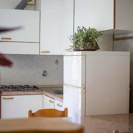 Lentisco - Helloelba *