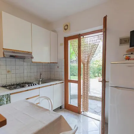 Lentisco - Helloelba *