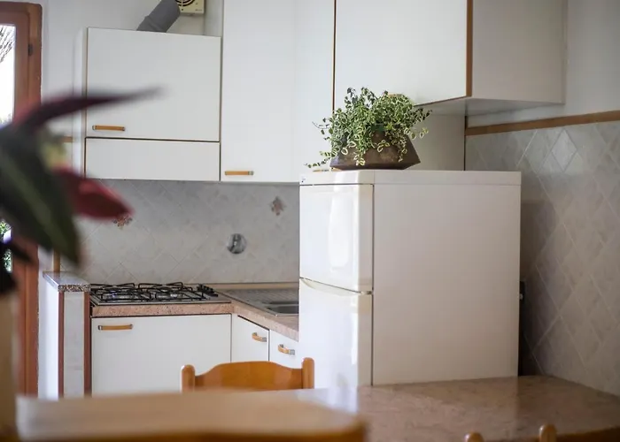 Lentisco - Helloelba *