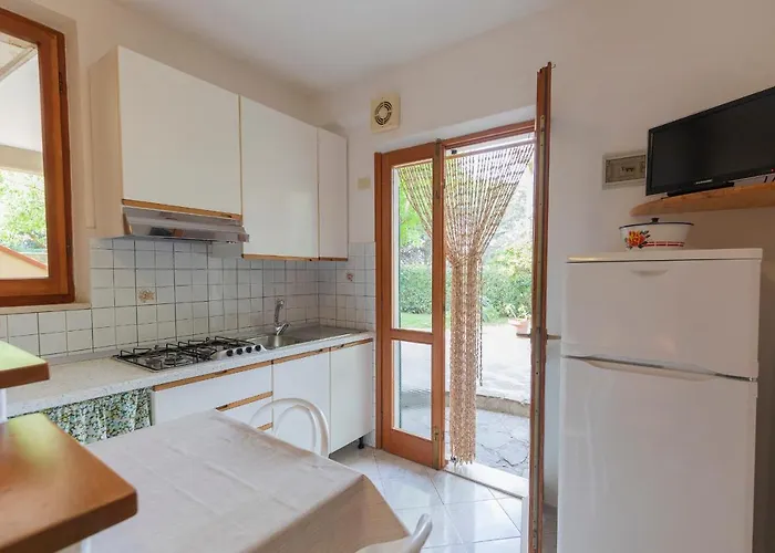 Lentisco - Helloelba *