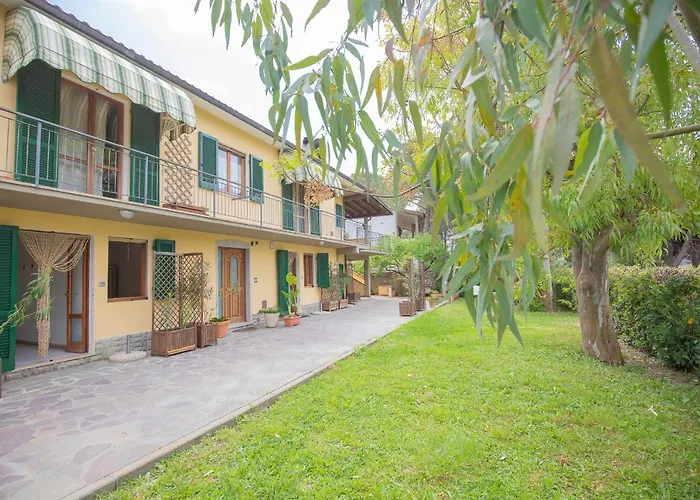 Lentisco - Helloelba *