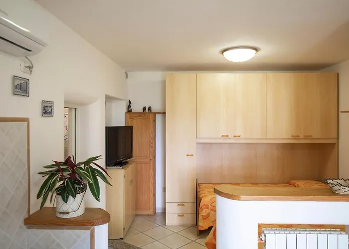 Lentisco - Helloelba *