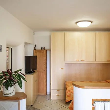 Lentisco - Helloelba *